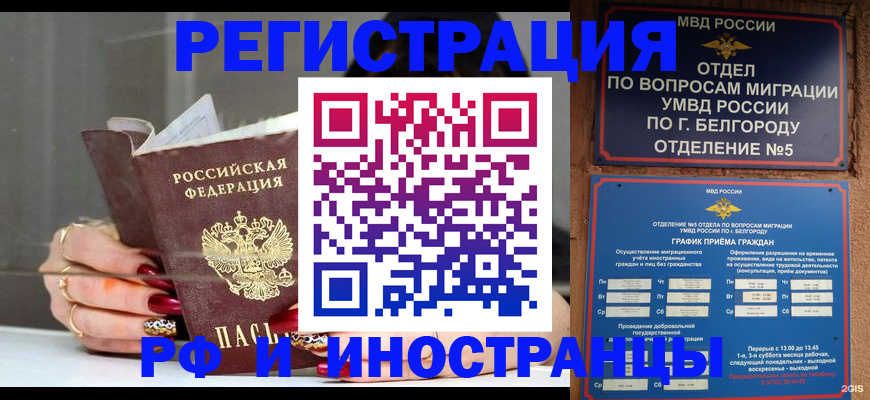 прописка в Ермолино